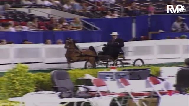 2007 WCHS Class 185 Junior Harness Po...