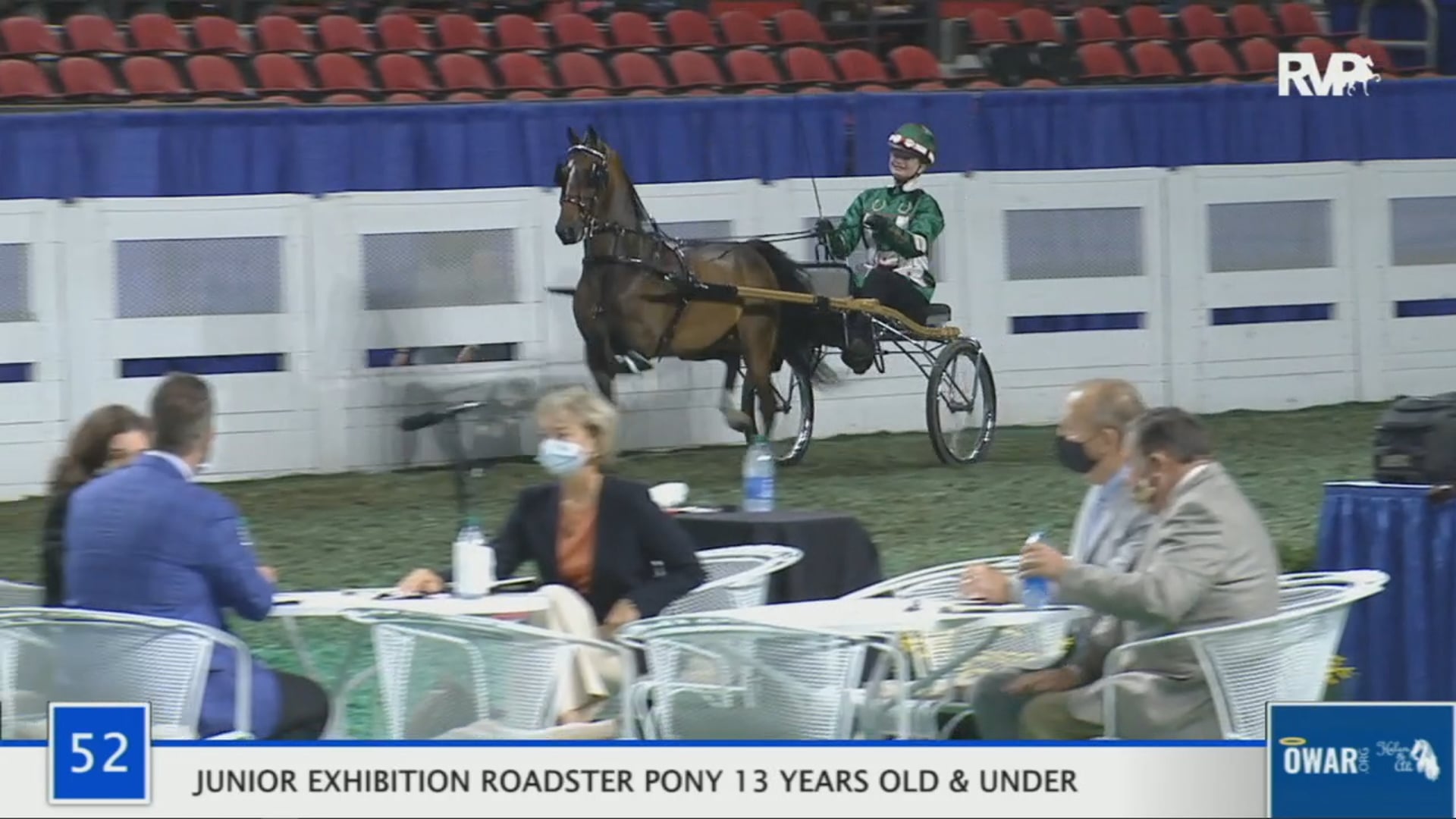 WCHS 2020  Class 52 - Junior Exhibition Roadster Pony 13 Years & Under