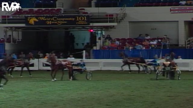 2004 World's Championship Horse Show ...