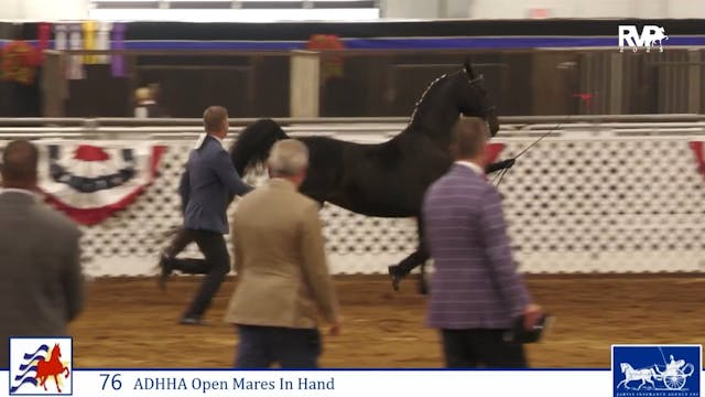 AAC25 - Class 76 - ADHHA Open Mares i...