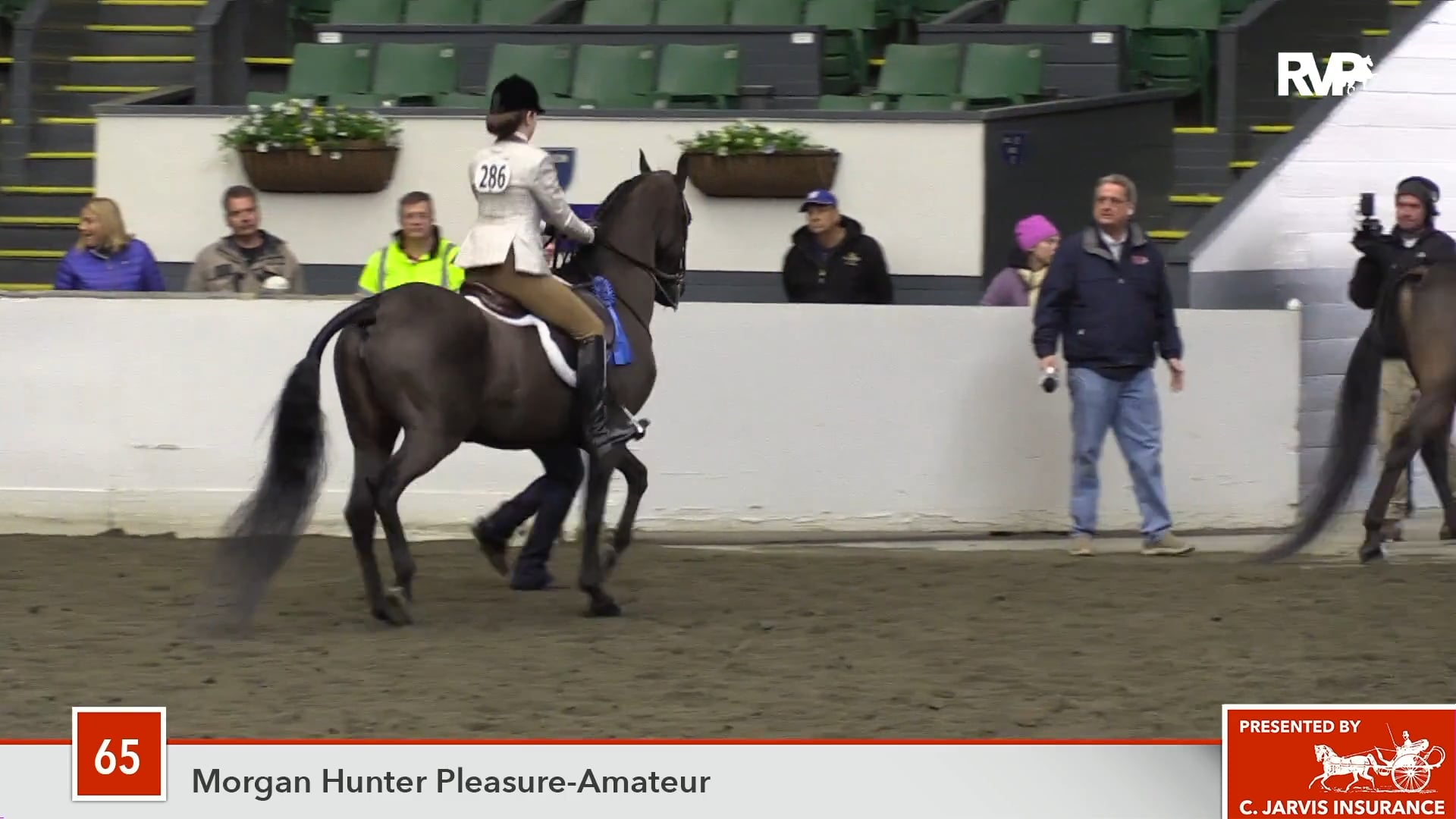 UPHA14-18 Class 65 Ultra's Now and Forever GCH