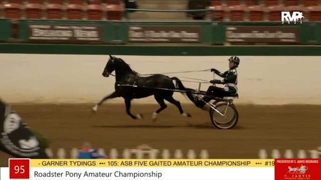 NCSC21 - Class 95 - Roadster Pony Ama...