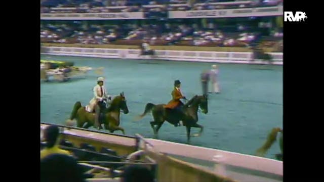 1988 WCHS Class 20 ASHA National Futu...