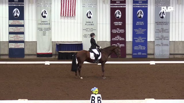 MGN19 - Class 522 - GN Dressage First...