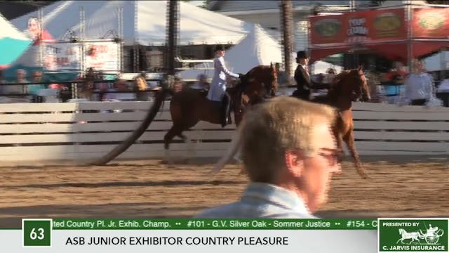 2017 RC - Class 63 ASB Junior Exhibit...