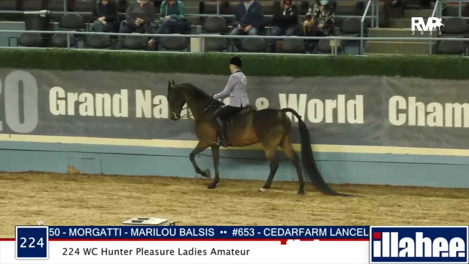 2020 MGN - 224 WC Hunter Pleasure Ladies Amateur