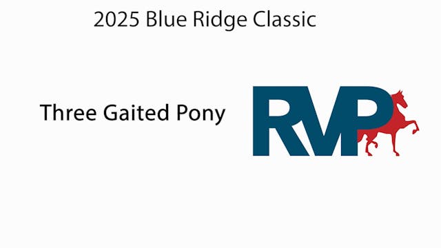 BRC25 - Class 124 - Three Gaited Pony