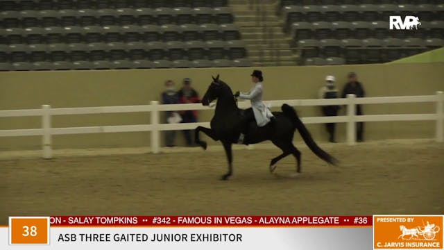 KFC 2020 - Class 38 ASB Three Gaited ...