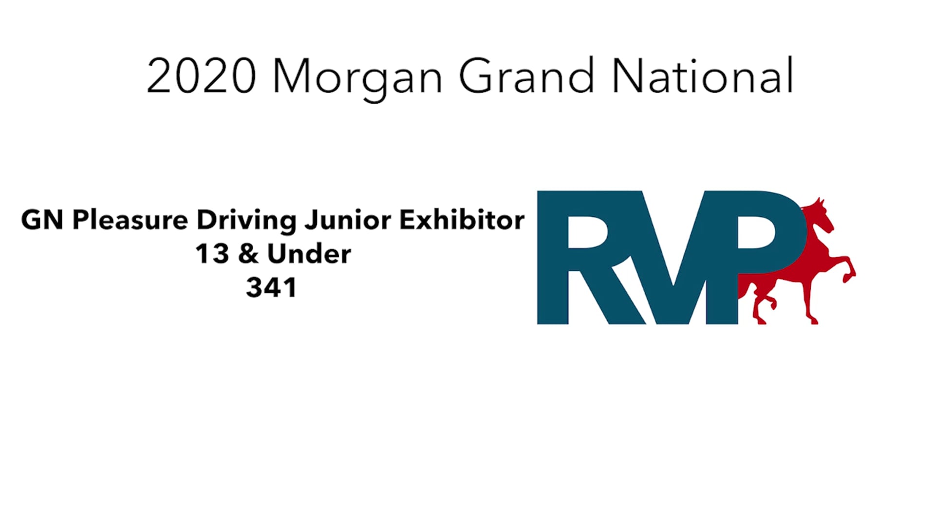 2020 MGN - 347 GN Pleasure Driving Junior Exhibitor 13 & Under