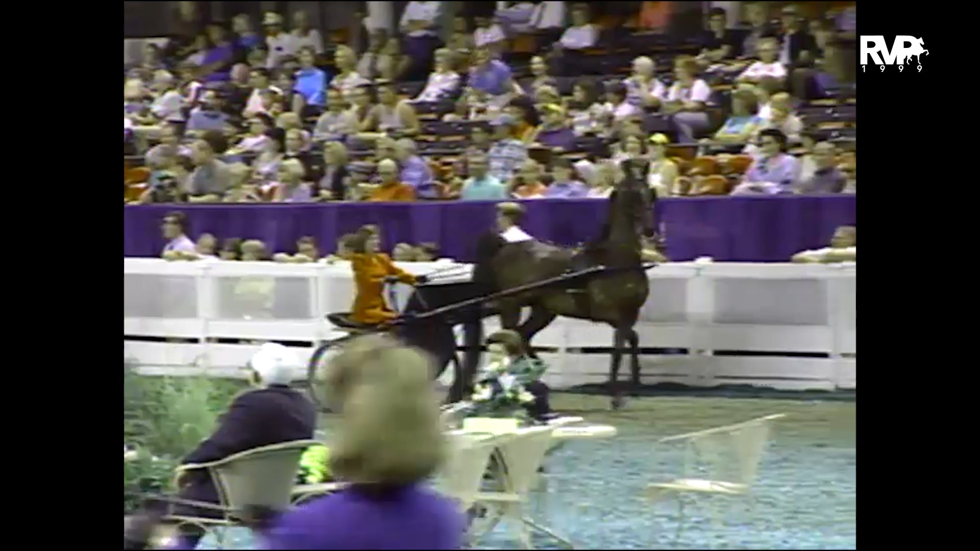 1999 WCHS - Class 127 ASB Show Pleasure Driving Adult 18-45