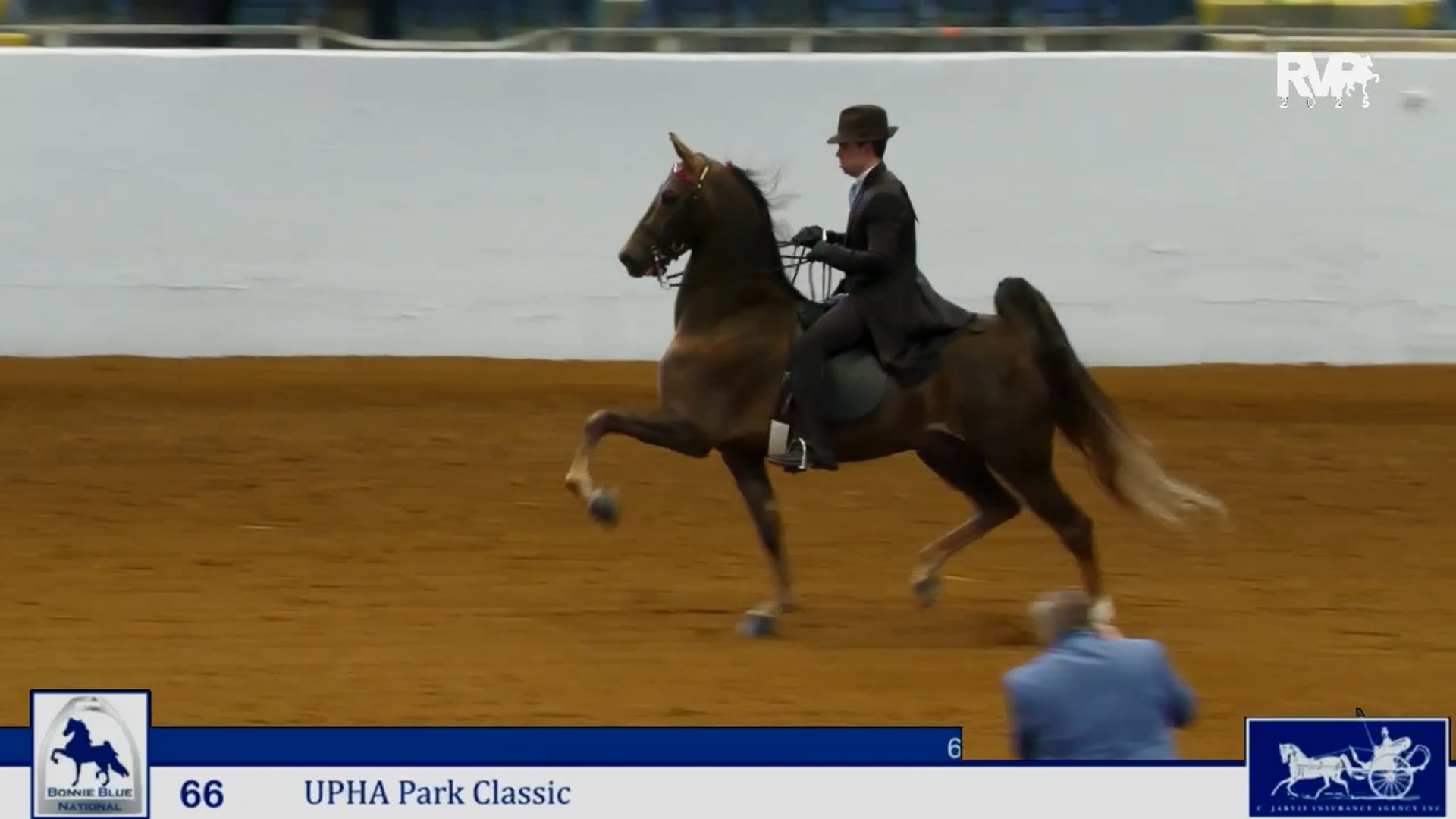 BB25 - Class 66 -  UPHA Three Gaited Park Three Year Old