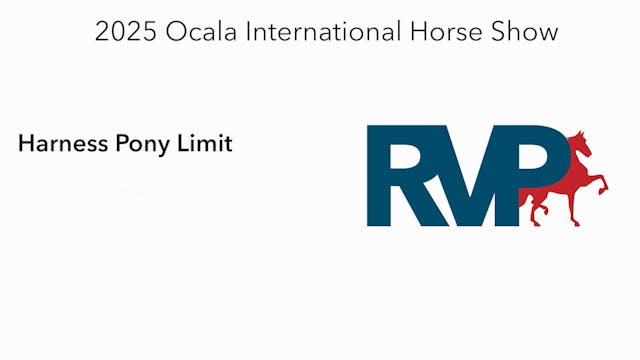 OI25 - Class 40 - Harness Pony Limit