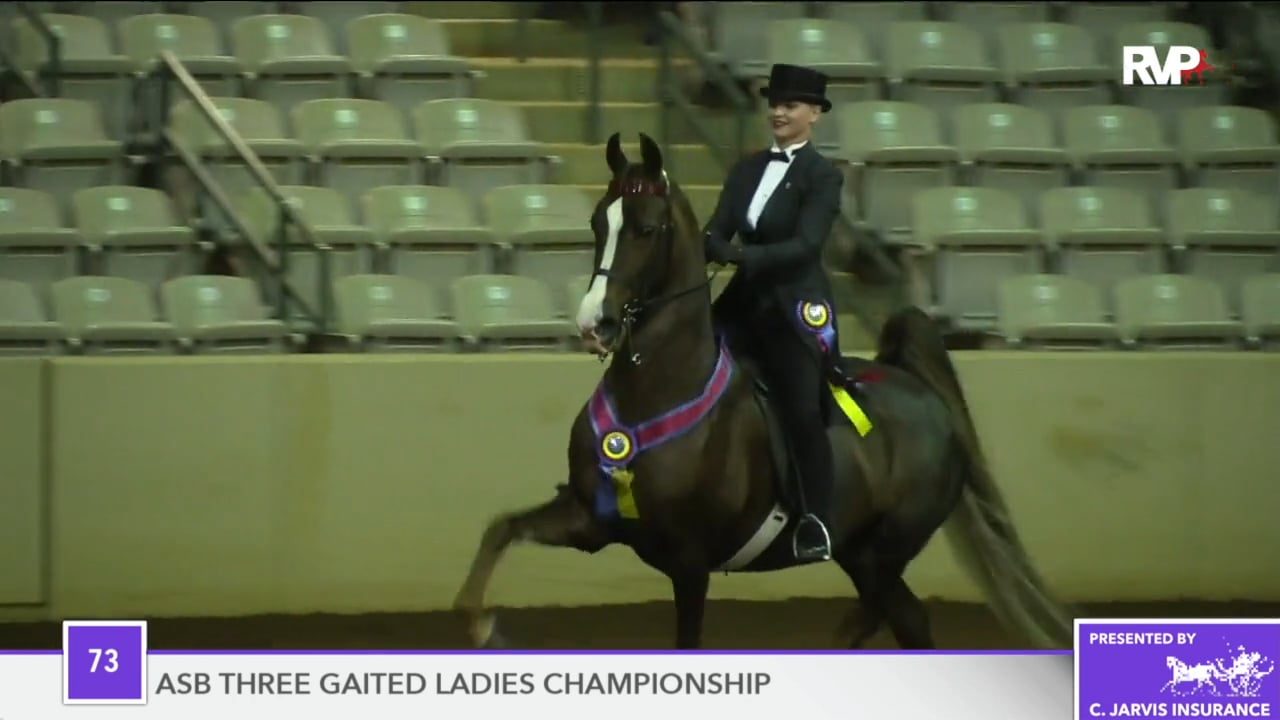 SSFF18 - Class 73 - Analeigh Championship