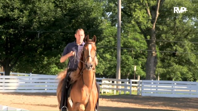2018 Rock Creek Horse Show Tuesday Ev...