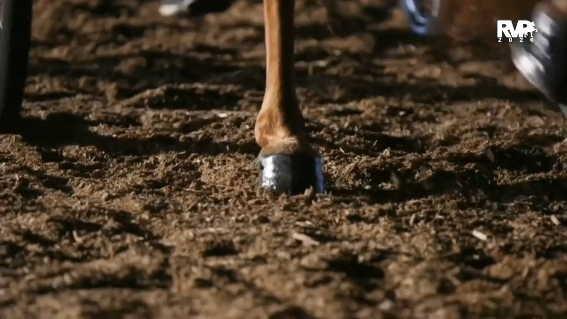 2020 MGN - 10:14 - Wednesday Morning - Performance