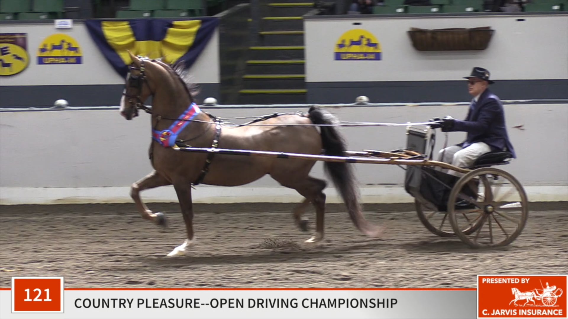 UPHA14-19 - Class 121 - Freestylin' Championship