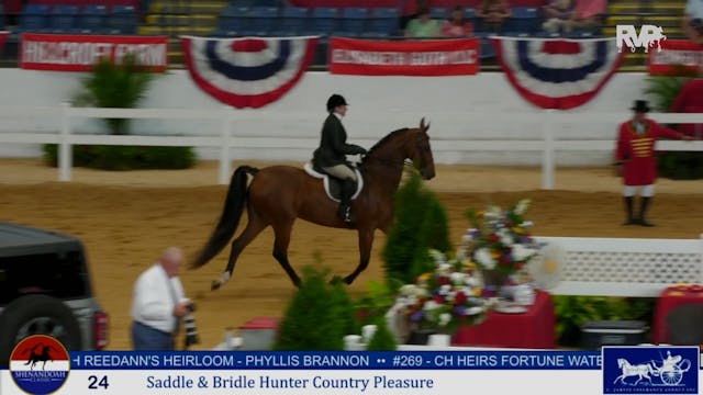 SC25 - Class 24 - Saddle & Bridle Hun...