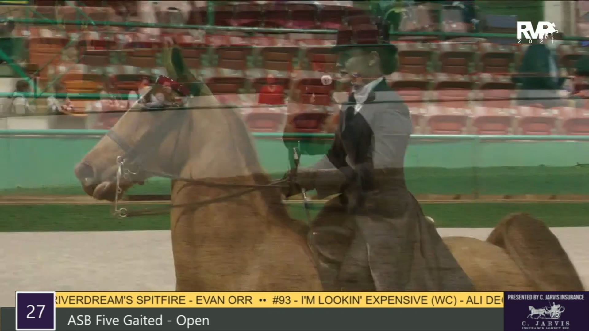 RSP21 - Class 27 - ASB Five Gaited Open