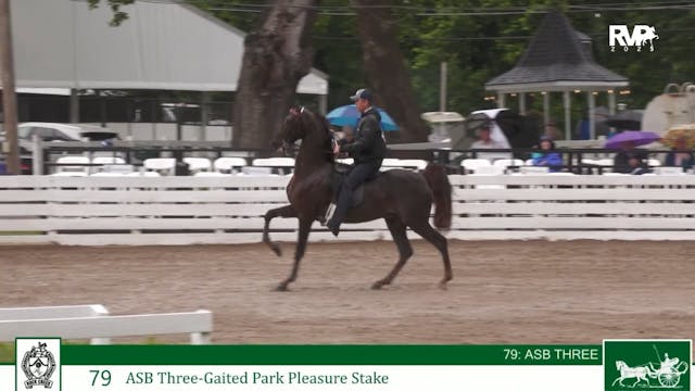 RC25 - Class 79 - ASB Three Gaited Pa...