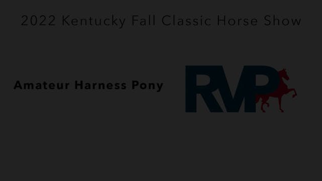 KYFC22 - Class 19 - Amateur Harness Pony