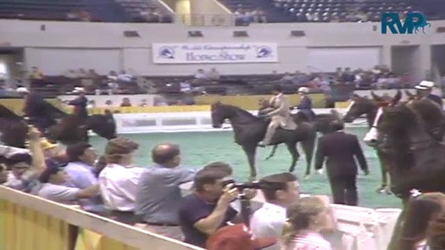 1987 WCHS Class 9 Junior Five Gaited ...