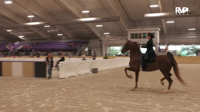 CC26 - Class 95 - Saddle Seat Equitat...