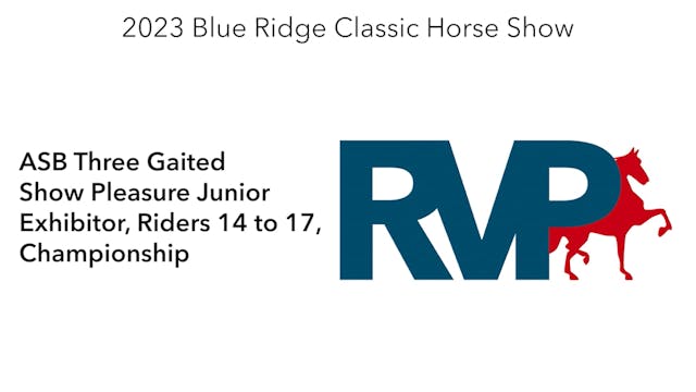 BR23 - Class 181 - ASB Three Gaited S...