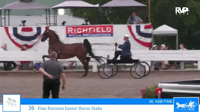 SSC25 - Class 36 - Fine Harness Junio...