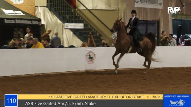 GASP21 - Class 110 - ASB Three Gaited...