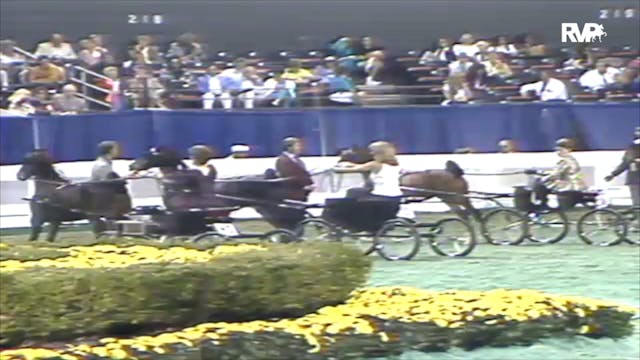 1991 WCHS Class 72 Ladies Hackney Pony
