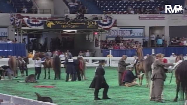 2007 WCHS Class 230 Ladies' Three Gai...