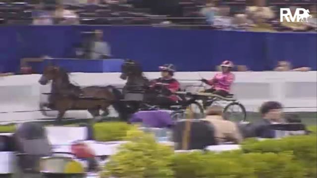 2007 WCHS Class 129 Junior Exhibitor ...