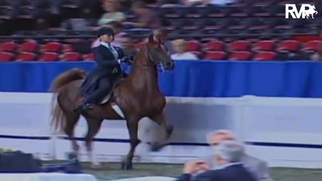 2009 World's Championship Horse Show ...