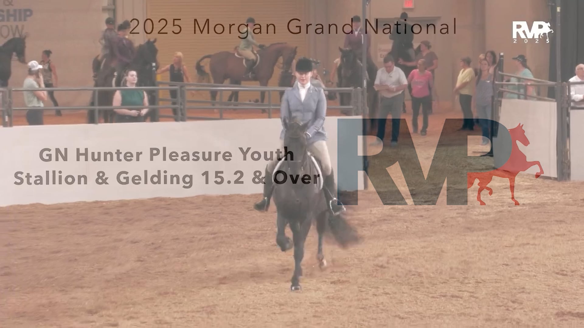 MGN25 - Class 28 - GN Hunter Pleasure Youth Stallion & Gelding 15.2 & Over