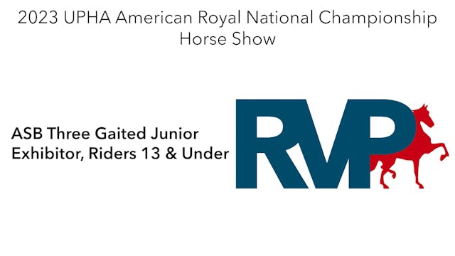 AR23 - Class 98 - ASB Three Gaited Ju...