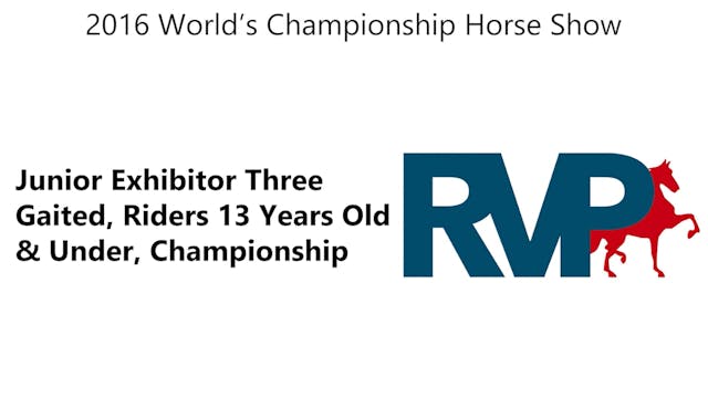 WCHS16 - Class 205 - Junior Exhibitor...