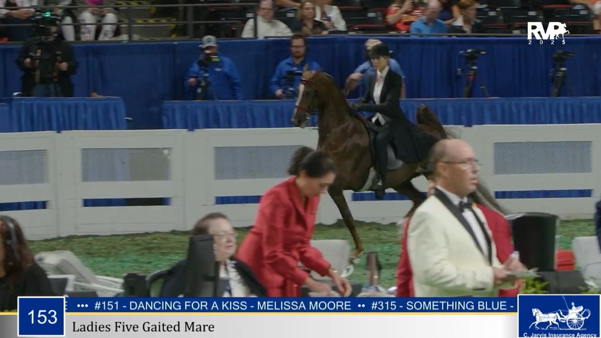 WCHS25 - Class 153 - Ladies Five Gaited Mare