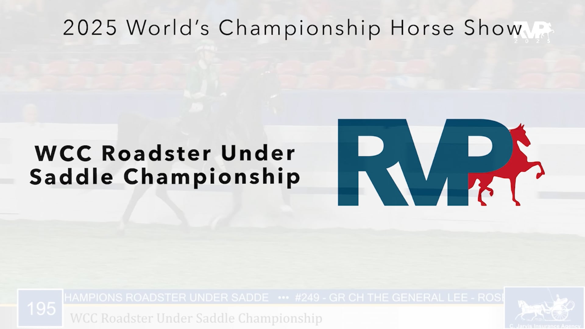 WCHS25 - Class 195 - WCC Roadster Under Saddle Championship