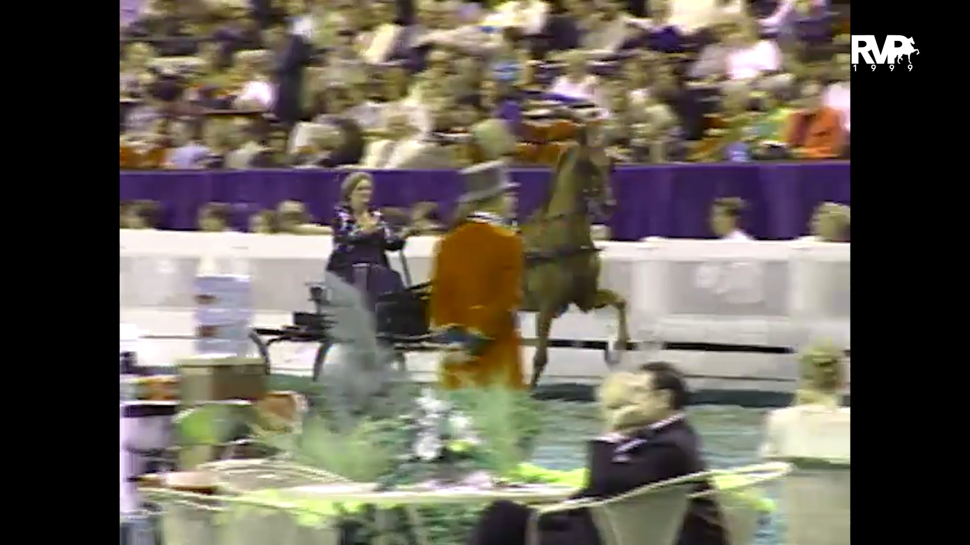 1999 WCHS - Class 155 Amateur Fine Harness Championship