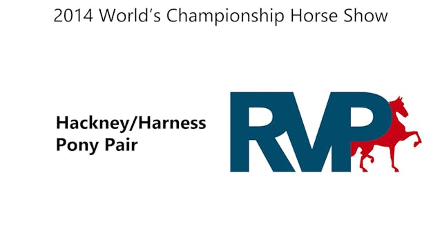 WCHS14 - Class 198 - Hackney-Harness ...