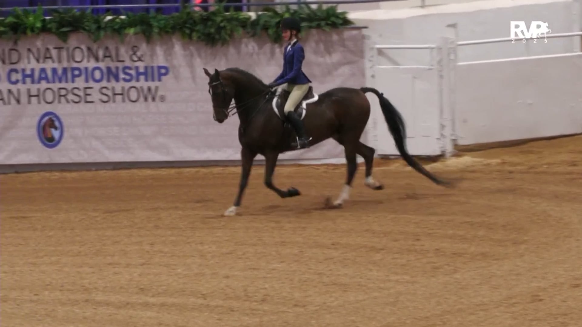 MGN25 - Class 350.1 - AMHA Hunter Seat on the Flat Gold Medal Preliminary