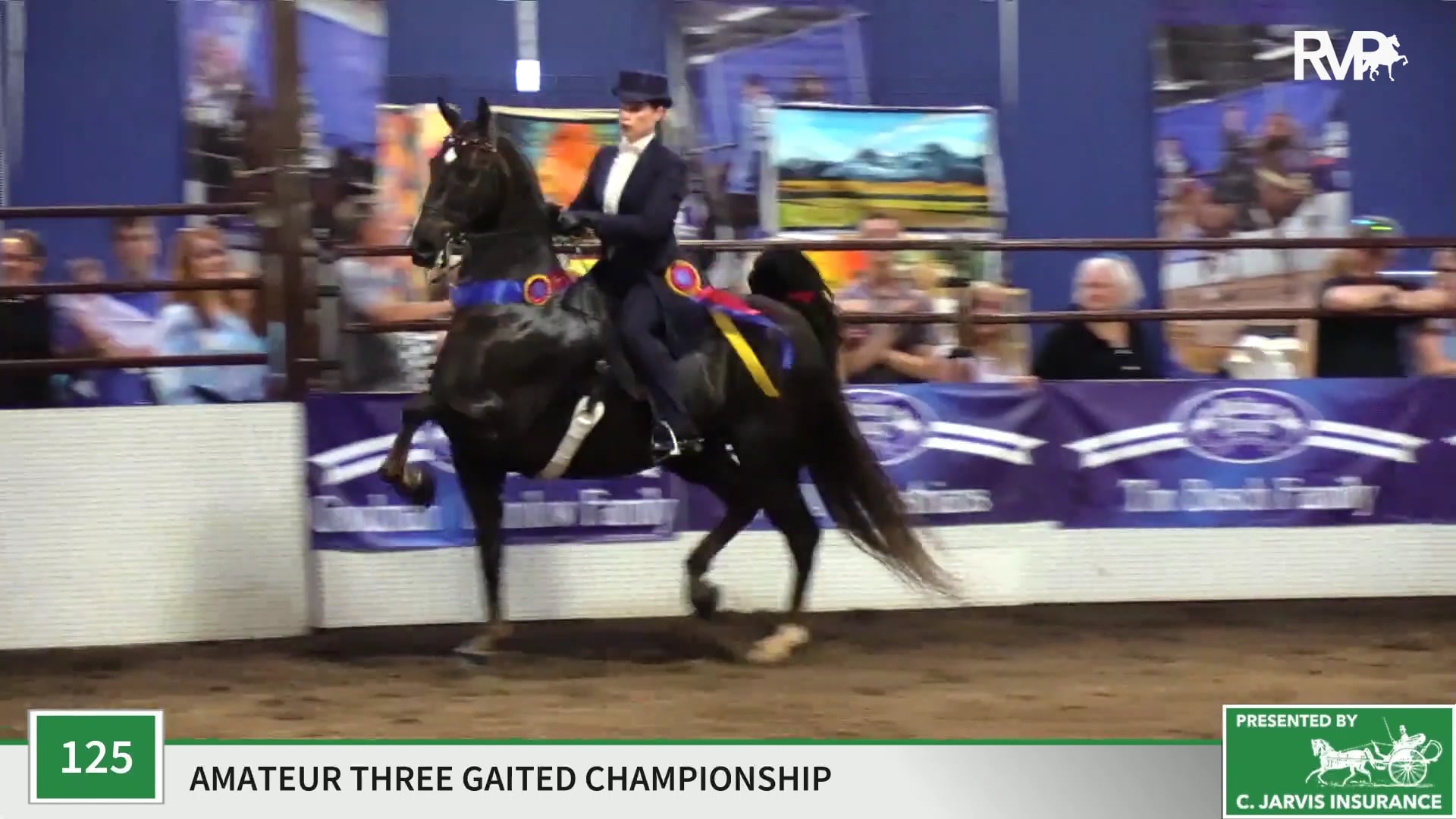 MC19 - Class 125 - CH Callaway's Blue Moon Rising