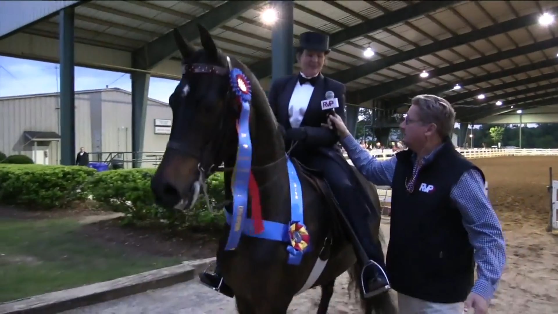 DC17 - Hyland Acres Mystique - Championship