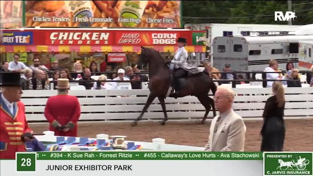 2017 RC - Class 28 Junior Exhibitor P...