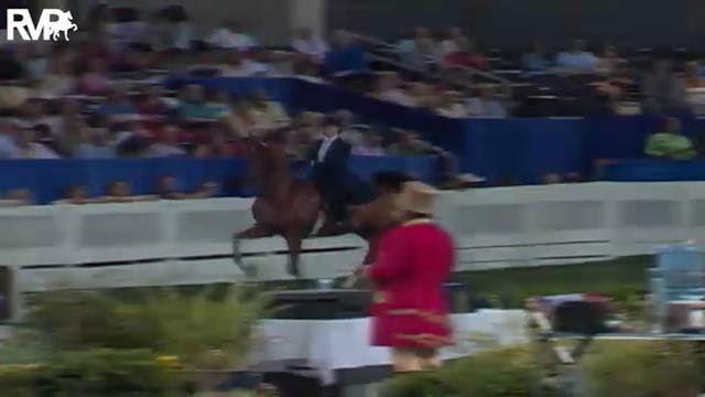 2004 World's Championship Horse Show ...