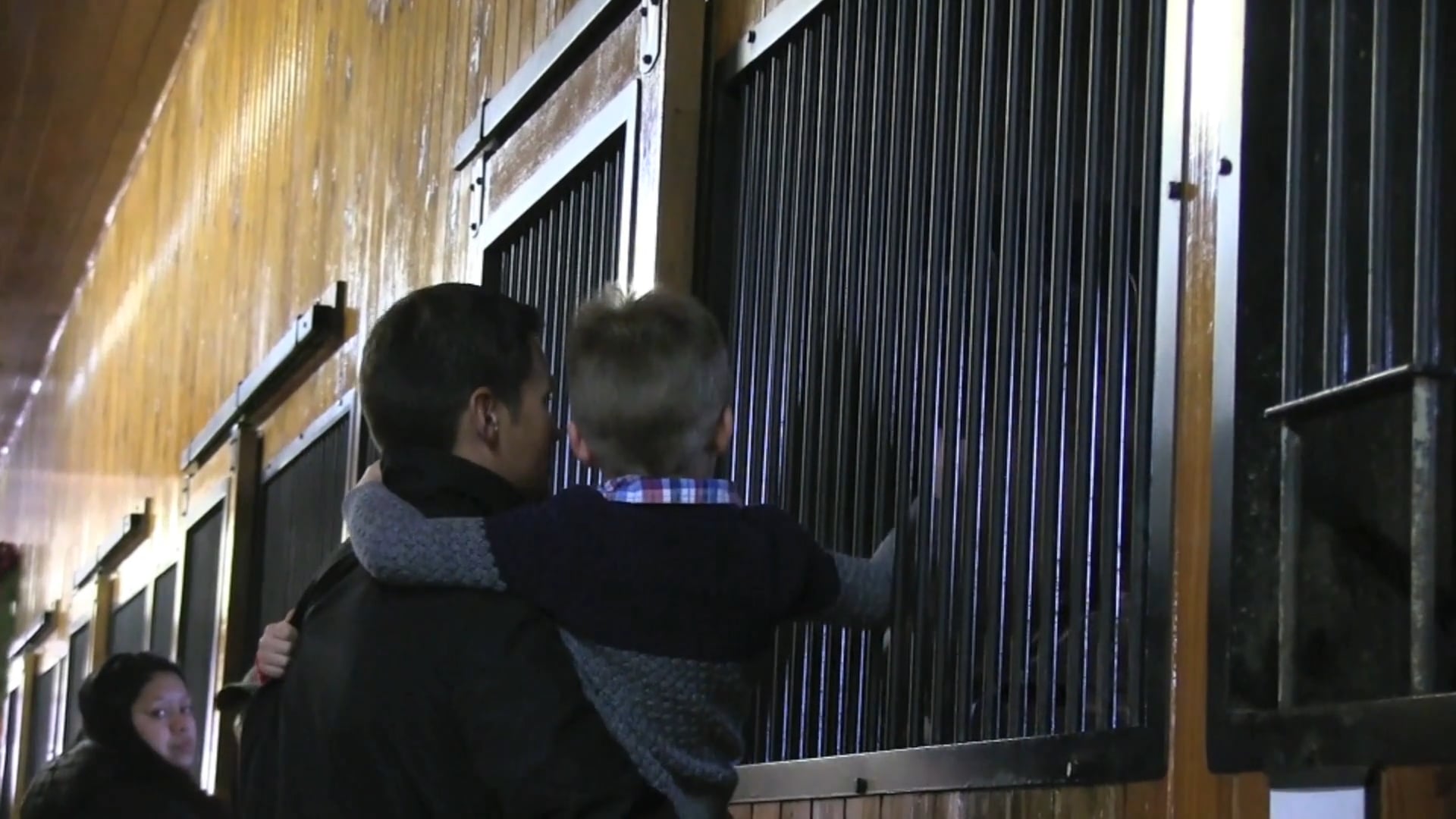 Desmar Christmas 2017