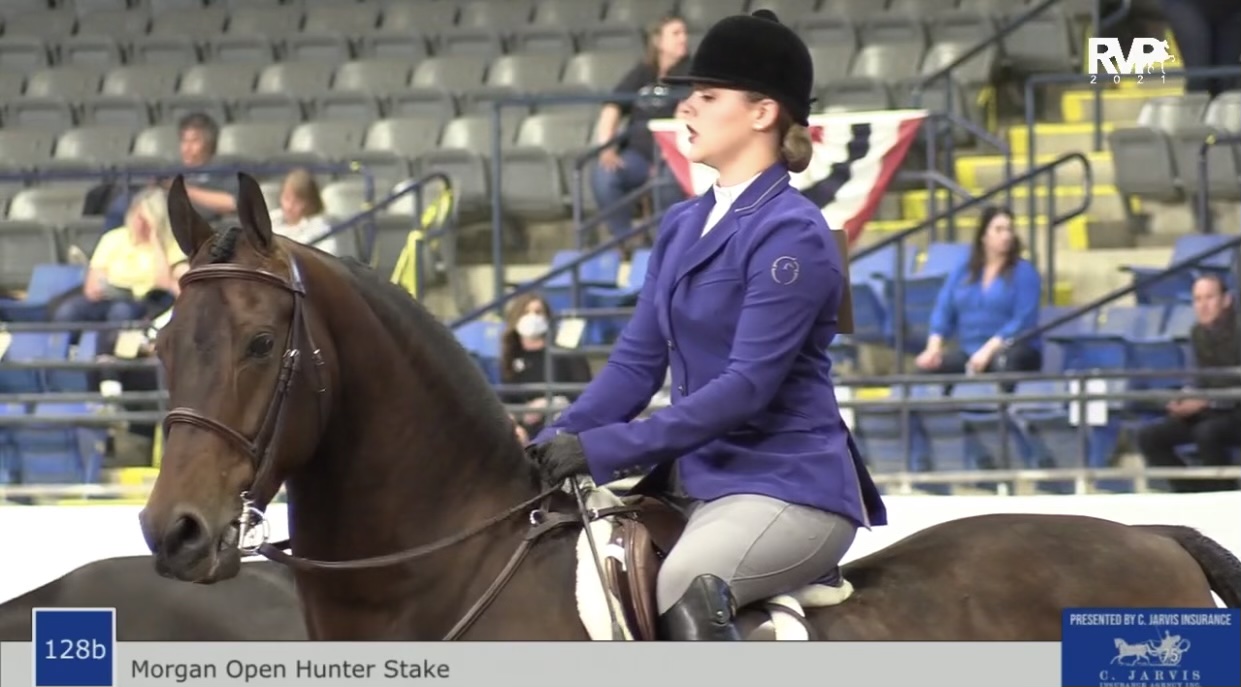 BB21 - Class 128B - Morgan Open Hunter Stake