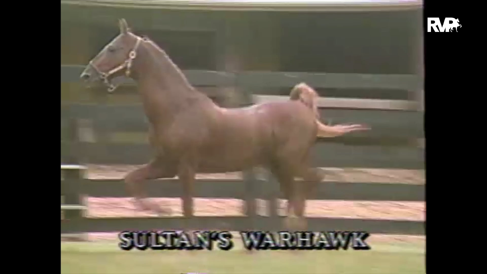 Looking Back at 1992 A Visit to Ruxer Farms