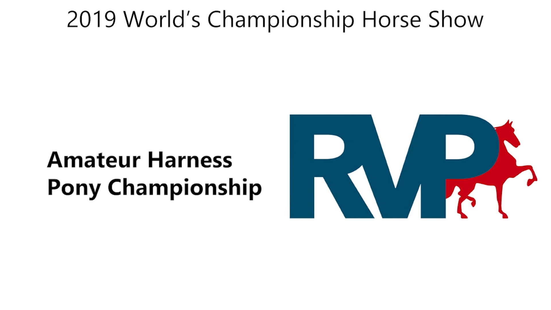 WCHS19 - Class 195 - Amateur Harness Pony Championship