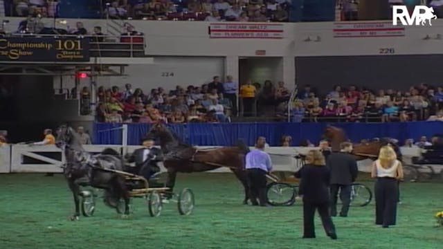 2004 World's Championship Horse Show ...